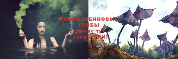стафф Магас