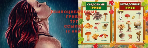 mdpv Орехово-Зуево
